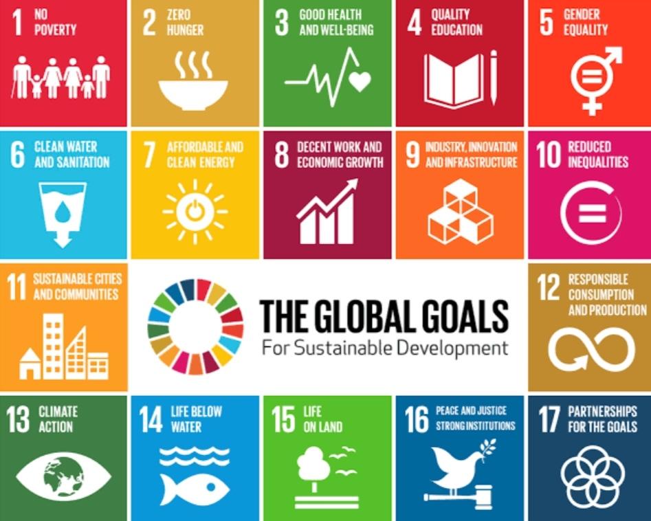 sdg.jpg