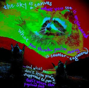 chemtrail raccoons - template.jpeg